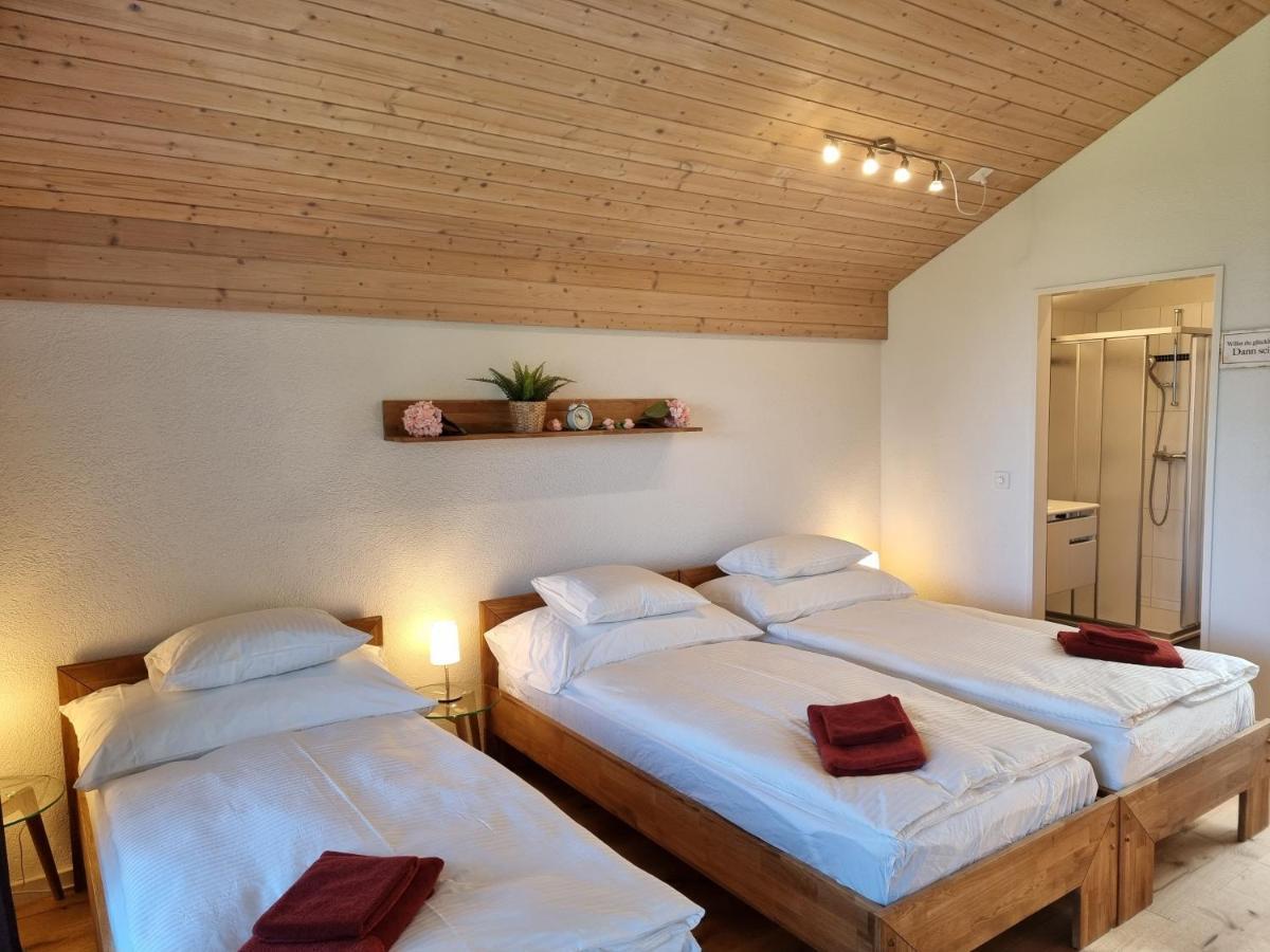 Apartment Seeparadiesli Am Schoenen Thunersee *